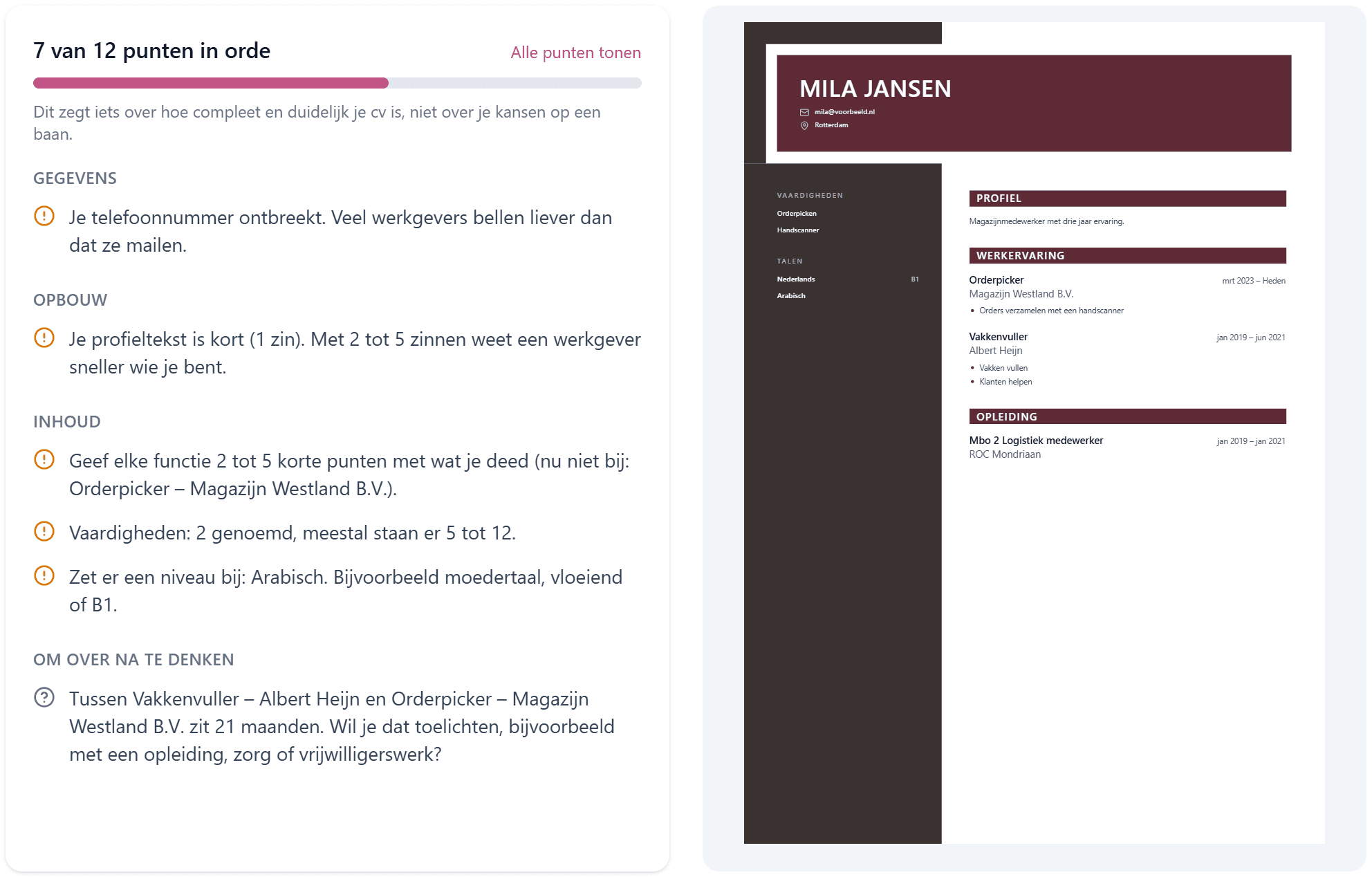 De cv-check: 7 van 12 punten in orde, met per punt wat er beter kan, naast het cv.
